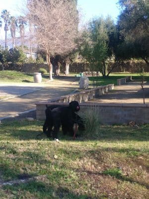 Rudy Ortega Park