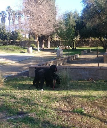 Rudy Ortega Park