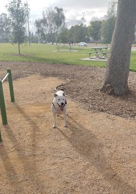 San Fernando Recreation Services