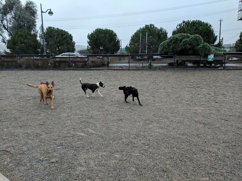 Berry Street Dog Park - San Francisco, CA