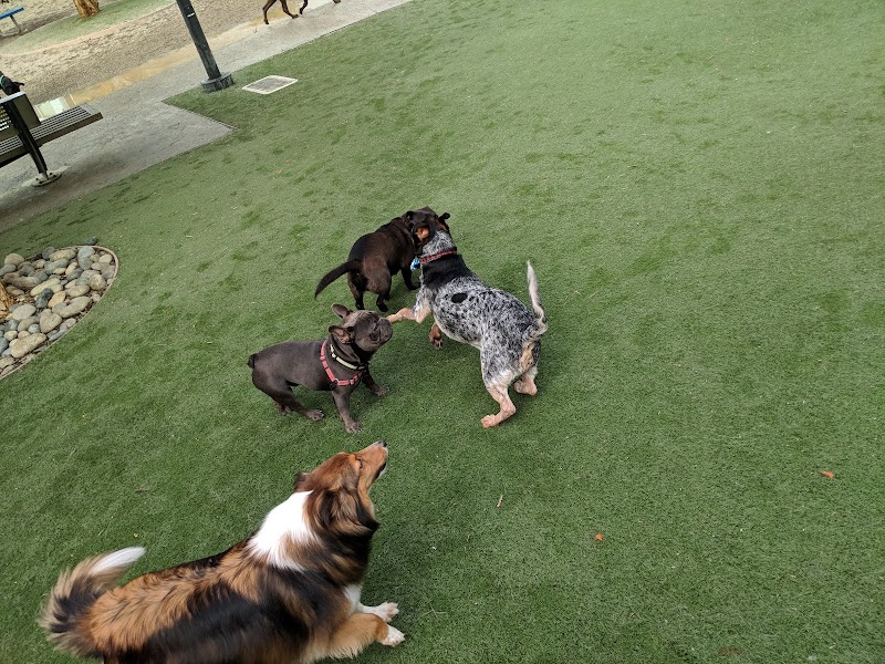 Berry Street Dog Park - San Francisco, CA
