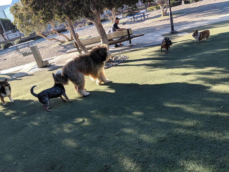 Berry Street Dog Park - San Francisco, CA