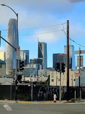 Berry Street Dog Park
