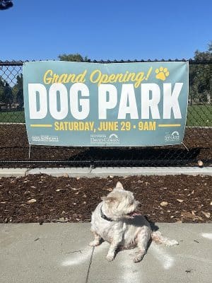 Piedmont Road Dog Park