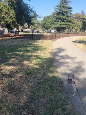 Piedmont Road Dog Park