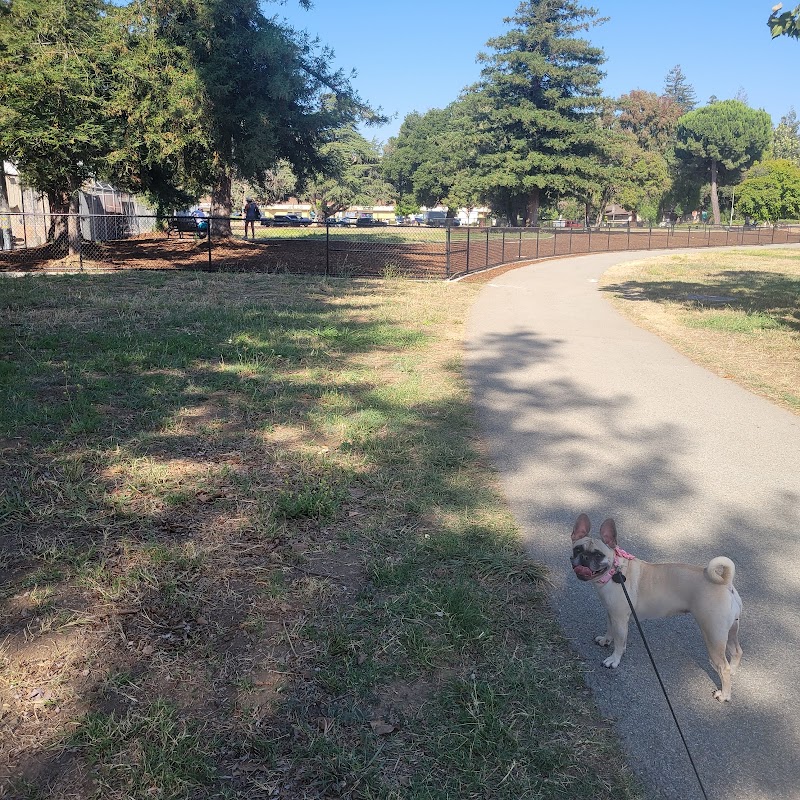 Piedmont Road Dog Park - San Jose, CA