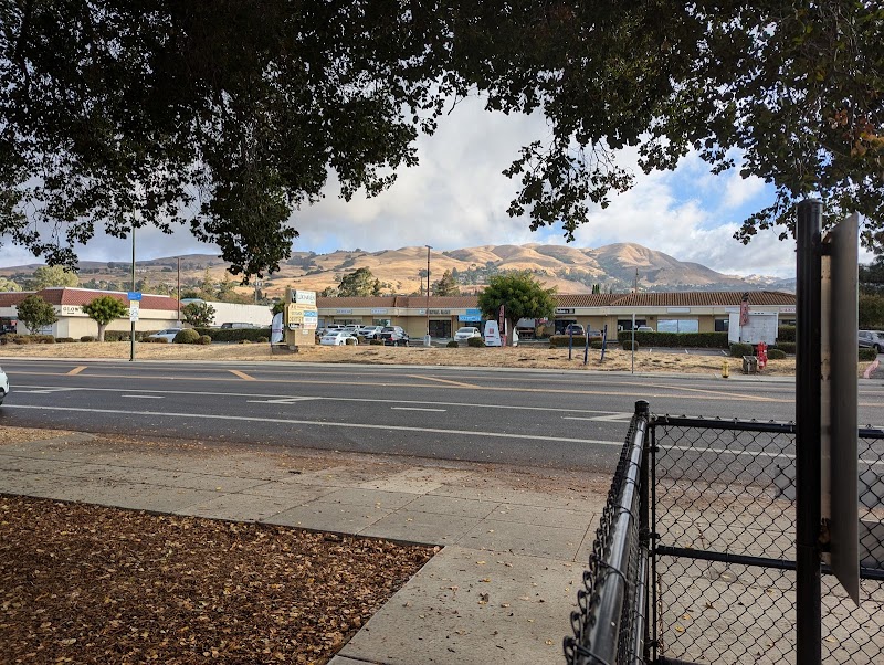 Piedmont Road Dog Park - San Jose, CA