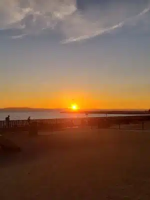 Marina Dog Park