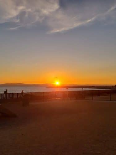 Marina Dog Park