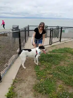 Marina Dog Park