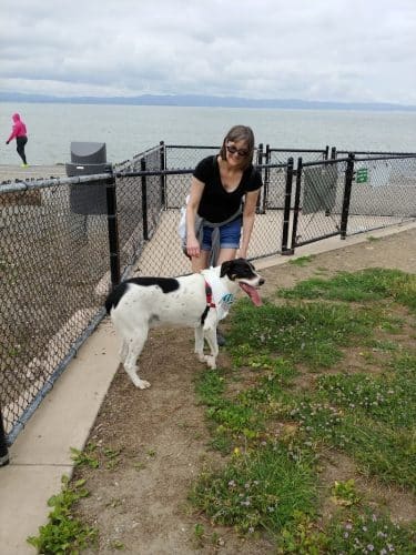 Marina Dog Park