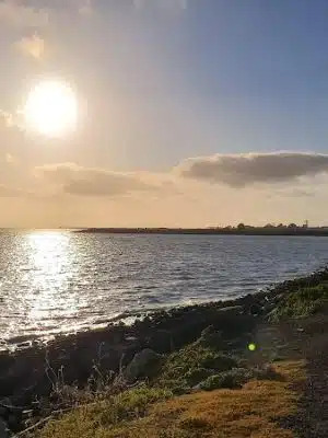 Marina Dog Park