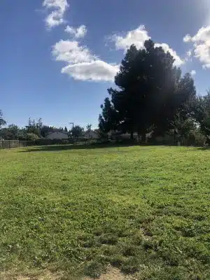 Edendale Dog Park