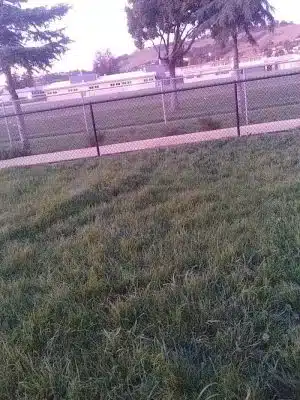 Edendale Dog Park