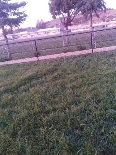 Edendale Dog Park