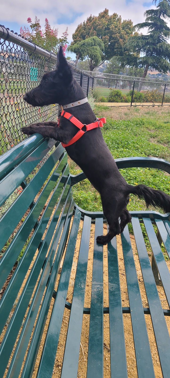 Edendale Dog Park - San Lorenzo, CA