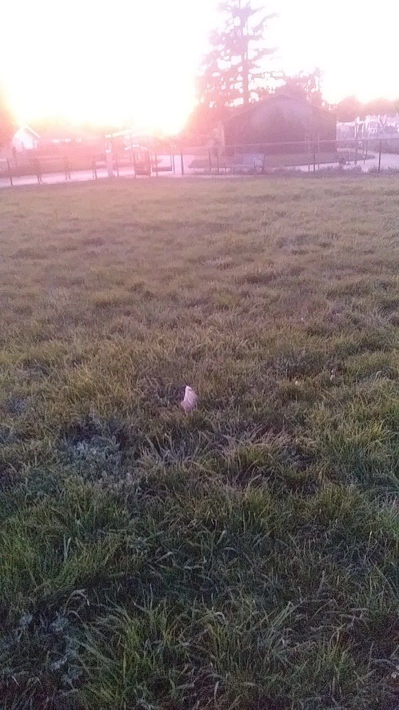 Edendale Dog Park - San Lorenzo, CA