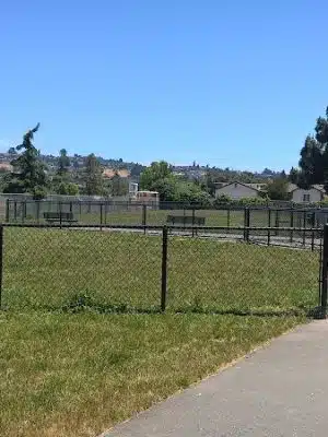Edendale Dog Park