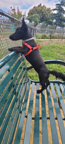 Edendale Dog Park