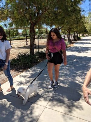 Bark & Ride