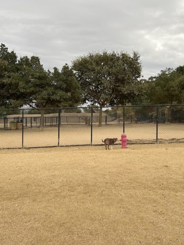 Bollinger Dog Run
