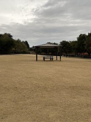 Bollinger Dog Run
