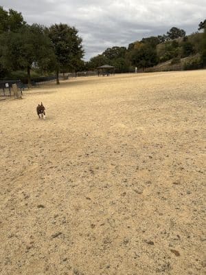 Bollinger Dog Run