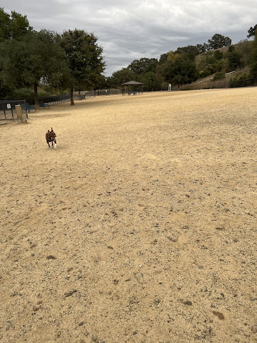 Bollinger Dog Run