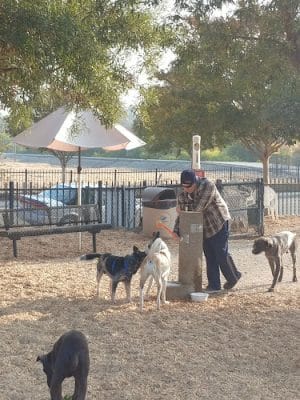 Del Mar Dog Park (Off-leash, open dawn-dusk)