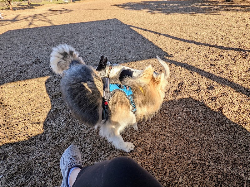 Del Mar Dog Park (Off-leash, open dawn-dusk) - San Ramon, CA