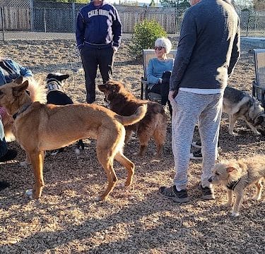 Del Mar Dog Park (Off-leash, open dawn-dusk)
