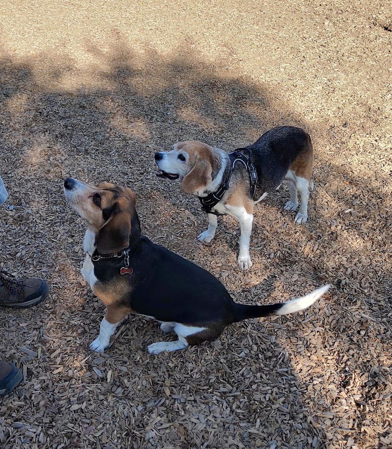 Del Mar Dog Park (Off-leash, open dawn-dusk) - San Ramon, CA