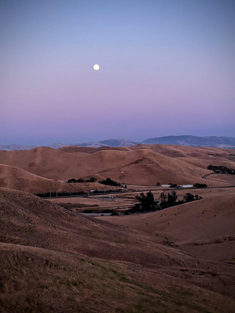 Windemere Dog Park - San Ramon, CA