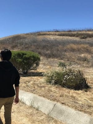 Windemere Dog Park