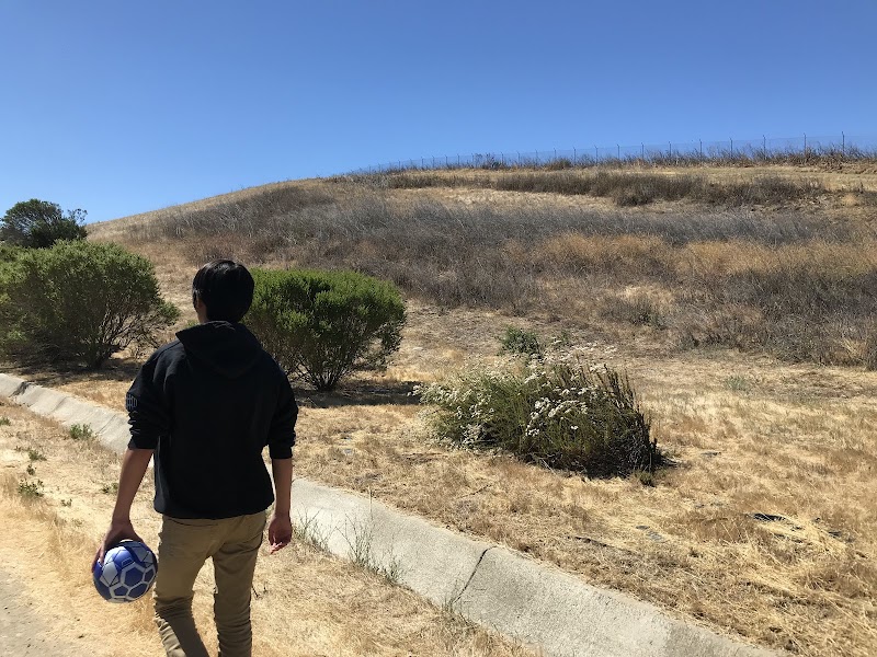 Windemere Dog Park - San Ramon, CA