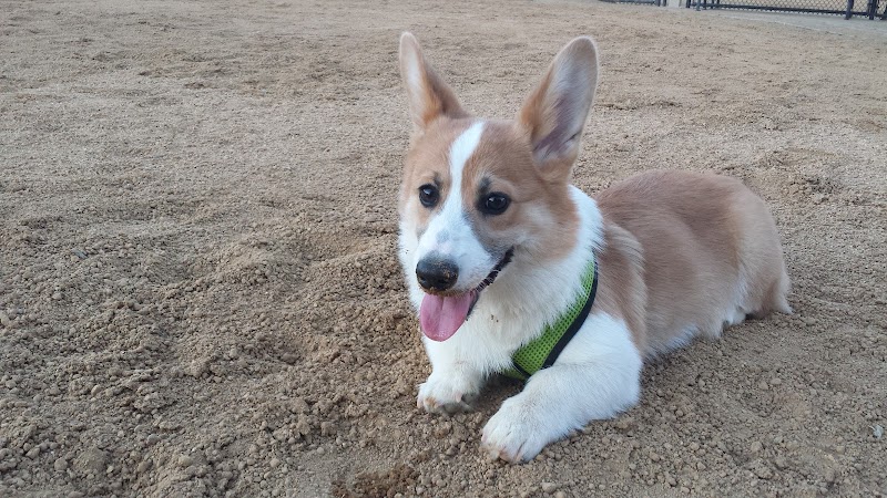 Windemere Dog Park - San Ramon, CA