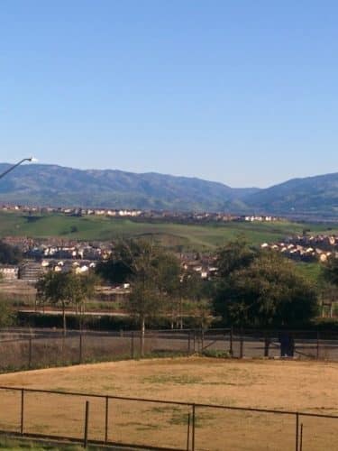 Windemere Dog Park