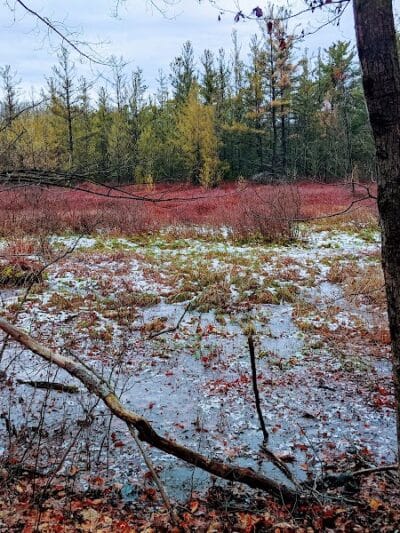 Ensley Township Nature Preserve - Sand Lake,