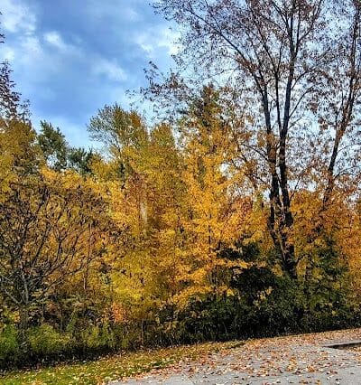 Gordon Park - Sand Lake,