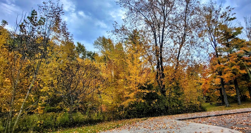 Gordon Park - Sand Lake,