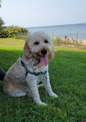 Sands Point Preserve
