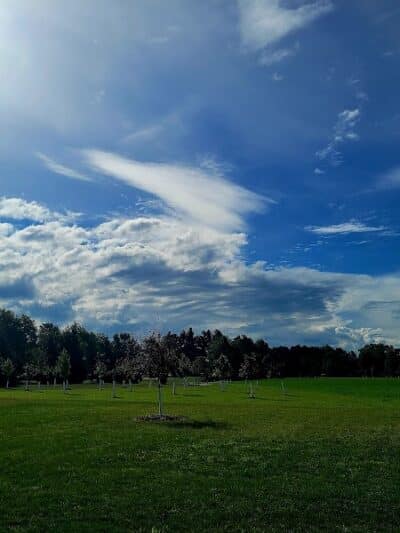 Diamond Walking Trail - Sandusky, MI