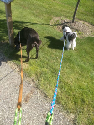Diamond Walking Trail