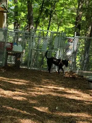 Sanford Dog Park - Sanford, ME