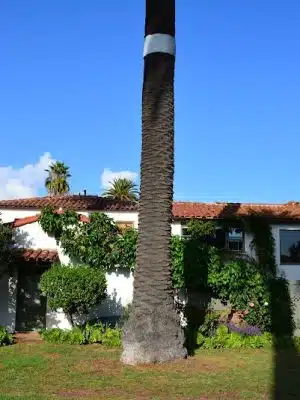 Ambassador Park