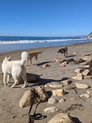 Arroyo Burro Beach County Park