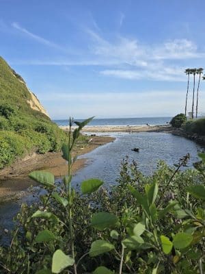 Arroyo Burro Beach County Park