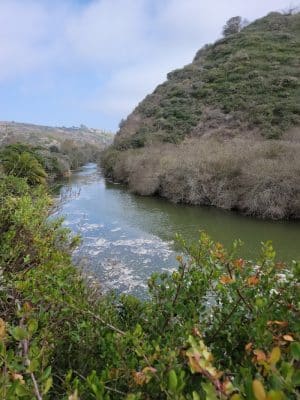 Arroyo Burro Beach County Park