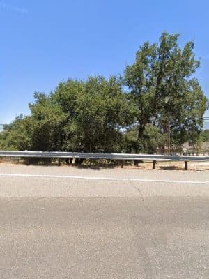 Cachuma Lake Dog Park