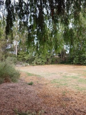 Calle Barquero Open Space